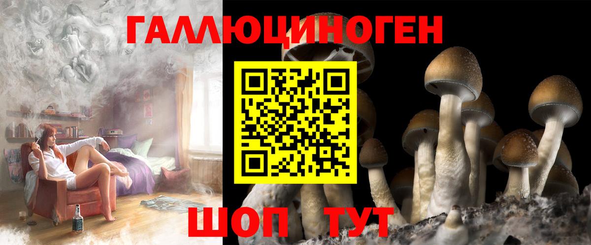 Псилоцибиновые грибы Psilocybe  Вход с VPN  Краснотурьинск 